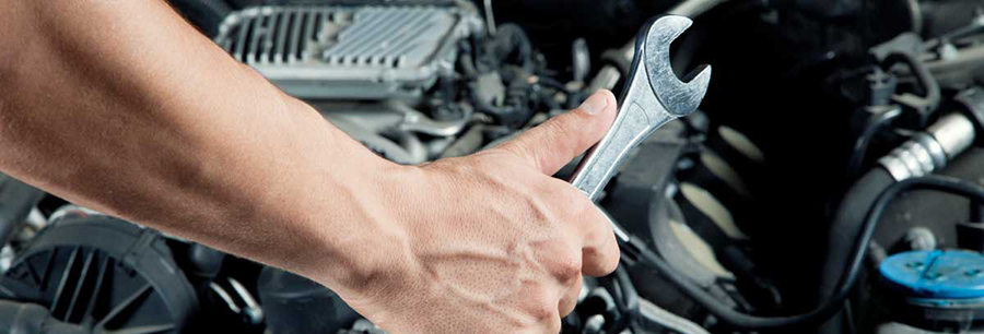European Auto Repair Specialist